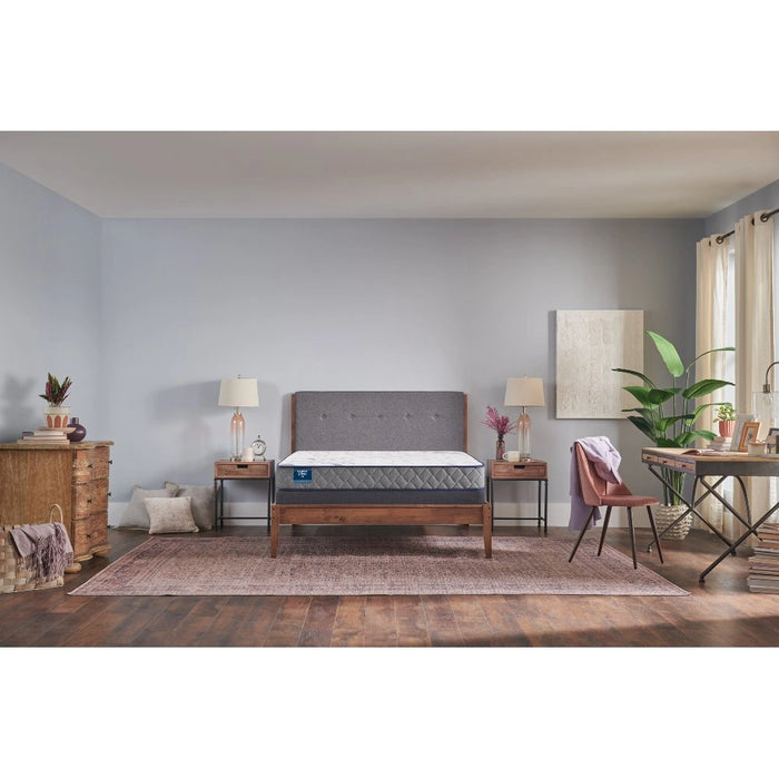 Sealy First & Park Foam Mattress