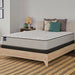 Spring Bloom Mattress - Discount Furniture World (Burlington,NC)