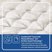 Spring Bloom Mattress - Discount Furniture World (Burlington,NC)
