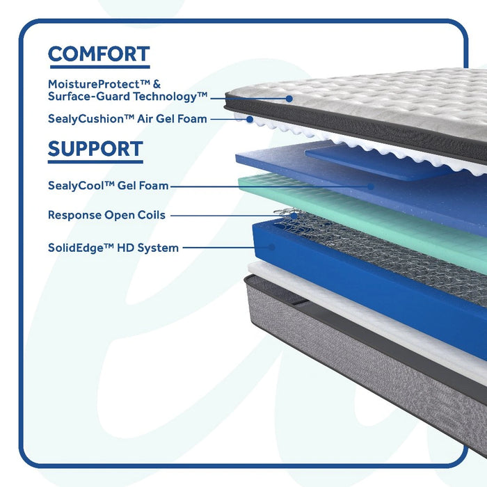 Spring Bloom Mattress - Discount Furniture World (Burlington,NC)