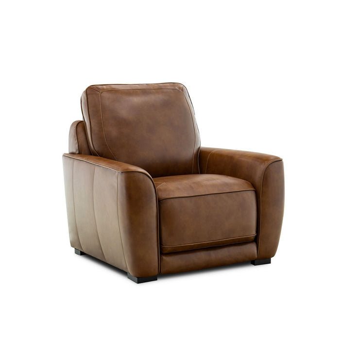 Blake Recliner P2 - Discount Furniture World (Burlington,NC)