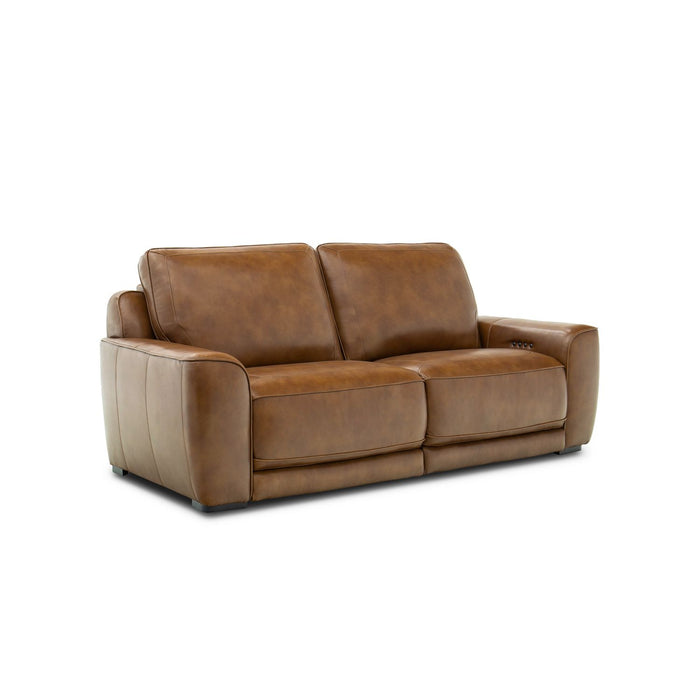 Blake Sofa P2 & ZW - Discount Furniture World (Burlington,NC)