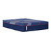 Albany II Mattress - Discount Furniture World (Burlington,NC)