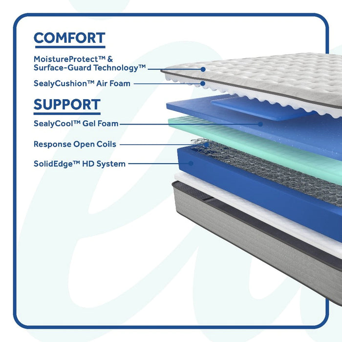 Spring Bloom Mattress - Discount Furniture World (Burlington,NC)