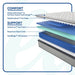 Spring Bloom Mattress - Discount Furniture World (Burlington,NC)
