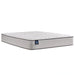 Spring Bloom Mattress - Discount Furniture World (Burlington,NC)