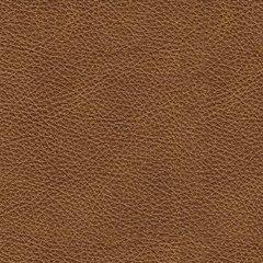 Carianna Oversized Chair - Discount Furniture World (Burlington,NC)