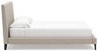 Cielden Upholstered Bed with Roll Slats - Discount Furniture World (Burlington,NC)