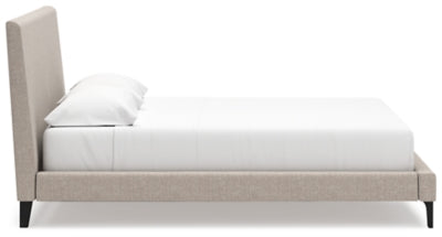Cielden Upholstered Bed with Roll Slats - Discount Furniture World (Burlington,NC)