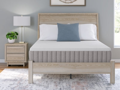 Terra Sleep Firm Mattress - Discount Furniture World (Burlington,NC)