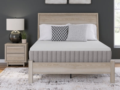 Terra Sleep Medium Mattress - Discount Furniture World (Burlington,NC)