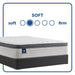 Spring Bloom EPT Mattress - Discount Furniture World (Burlington,NC)