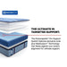 Sonterra Spring Mattress - Discount Furniture World (Burlington,NC)