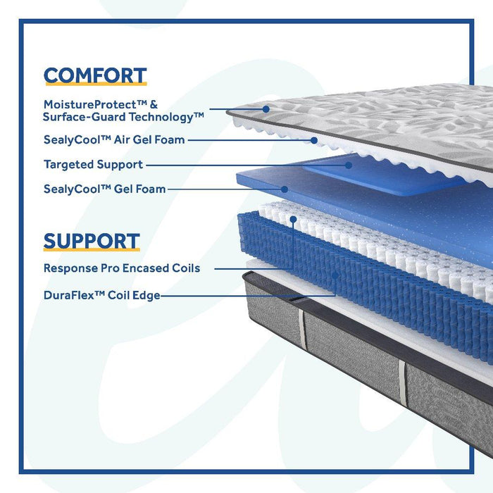 Silver Pine Innerspring Mattress - Discount Furniture World (Burlington,NC)