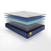 Stately Innerspring Mattress - Discount Furniture World (Burlington,NC)