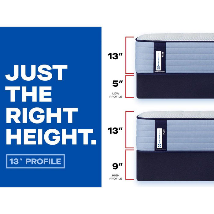 Plainfield Spring Mattress - Discount Furniture World (Burlington,NC)