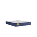 Stately Innerspring Mattress - Discount Furniture World (Burlington,NC)