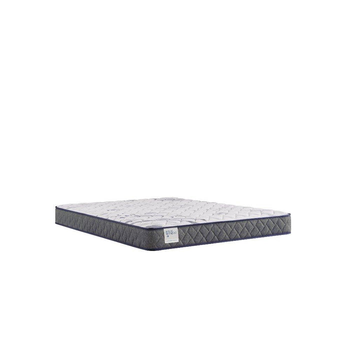 Paisley Foam Mattress - Discount Furniture World (Burlington,NC)