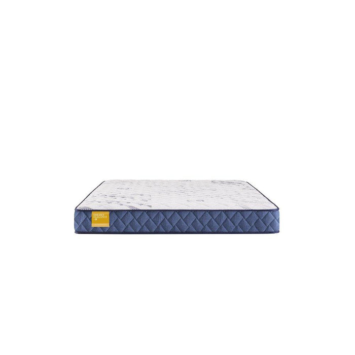 Glacier Park Foam Mattress