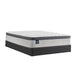 Spring Bloom EPT Mattress - Discount Furniture World (Burlington,NC)