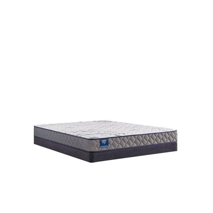 Moon Cove Foam Mattress - Discount Furniture World (Burlington,NC)