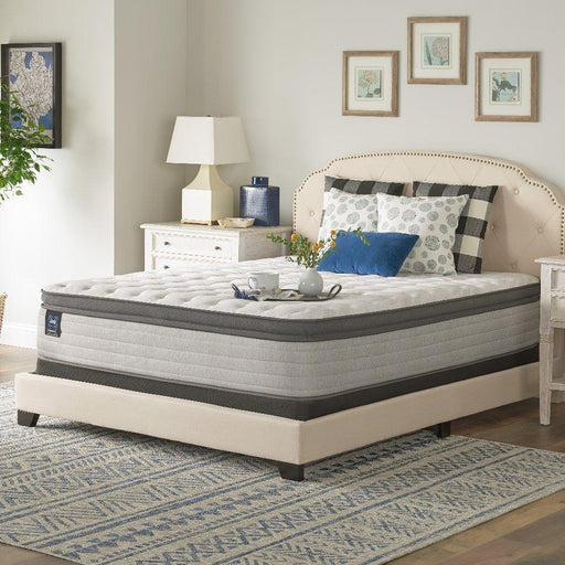 Spring Bloom EPT Mattress - Discount Furniture World (Burlington,NC)