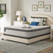 Spring Bloom EPT Mattress - Discount Furniture World (Burlington,NC)
