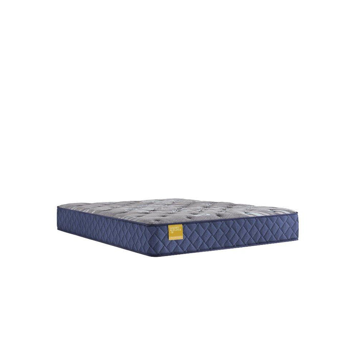 Royal Park Innerspring Mattress - Discount Furniture World (Burlington,NC)