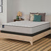 Leahy Innerspring Mattress - Discount Furniture World (Burlington,NC)