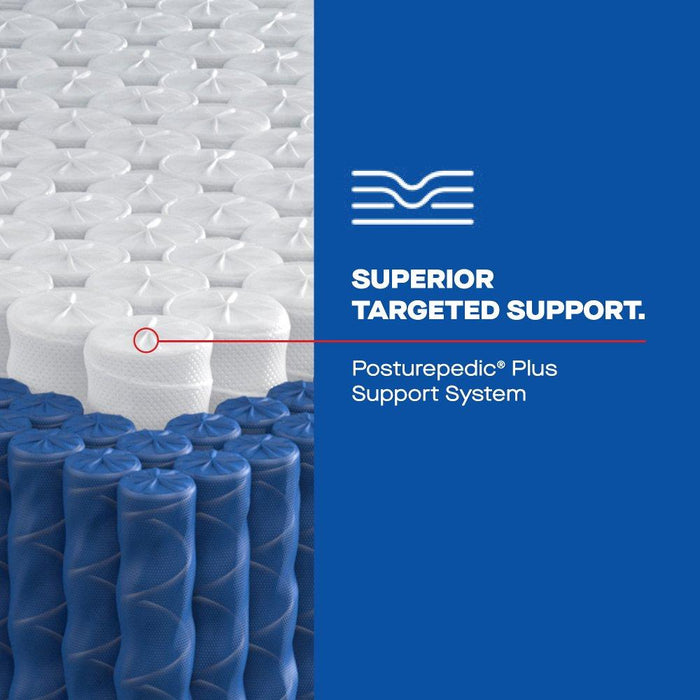 Plainfield Spring Mattress - Discount Furniture World (Burlington,NC)