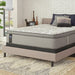 Silver Pine Innerspring Mattress - Discount Furniture World (Burlington,NC)