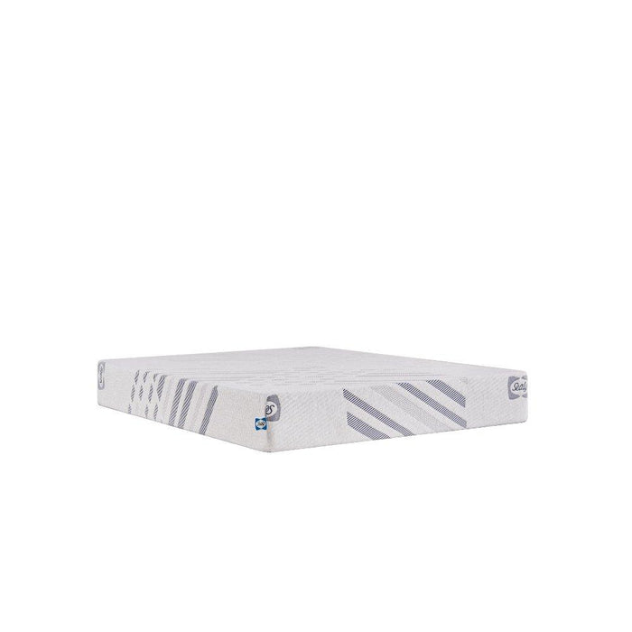 Second & Park Foam Mattress - Discount Furniture World (Burlington,NC)