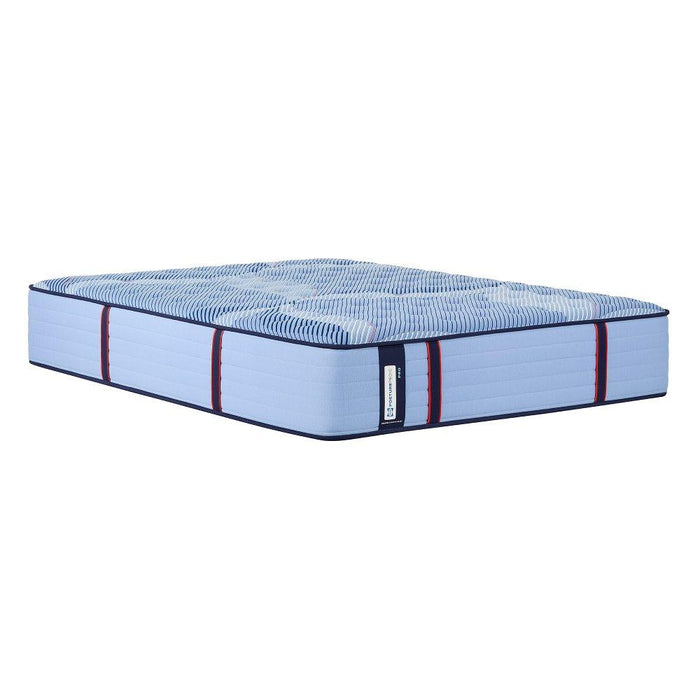 Sonterra Spring Mattress
