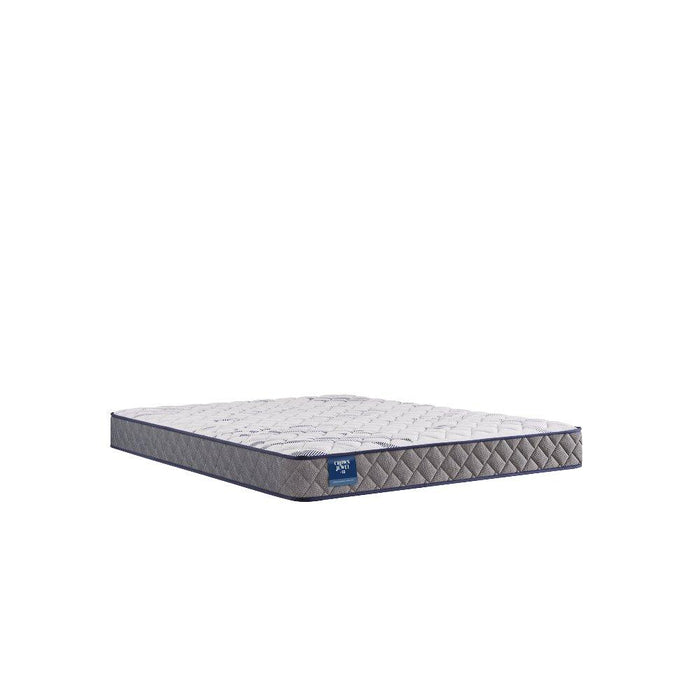 Moon Cove Foam Mattress - Discount Furniture World (Burlington,NC)