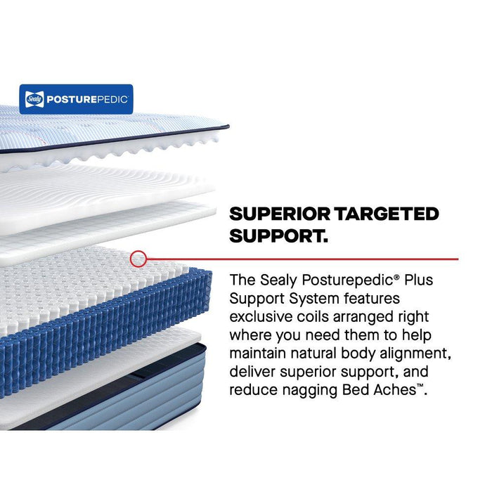 Plainfield Spring Mattress - Discount Furniture World (Burlington,NC)