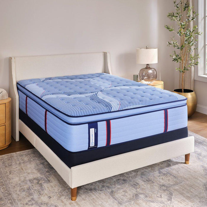 Sonterra Spring Mattress - Discount Furniture World (Burlington,NC)