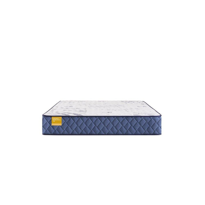 Stately Innerspring Mattress - Discount Furniture World (Burlington,NC)