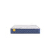 Stately Innerspring Mattress - Discount Furniture World (Burlington,NC)