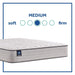 Spring Bloom Innerspring Mattress - Discount Furniture World (Burlington,NC)