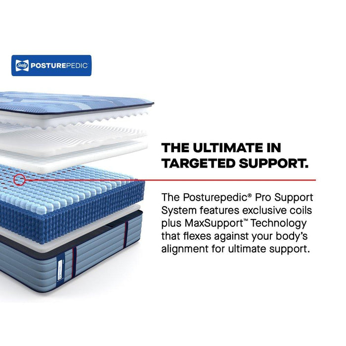 Sonterra Spring Mattress - Discount Furniture World (Burlington,NC)