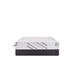 Palace Park Foam Mattress - Discount Furniture World (Burlington,NC)