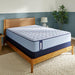 Medina II Spring Mattress - Discount Furniture World (Burlington,NC)