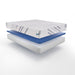 Stately Foam Mattress - Discount Furniture World (Burlington,NC)