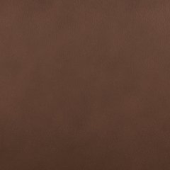 Pincara Power AutoGlide Recliner - Discount Furniture World (Burlington,NC)