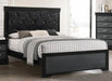 Crown Mark Amalia Twin Panel Bed in Black B6918-T image